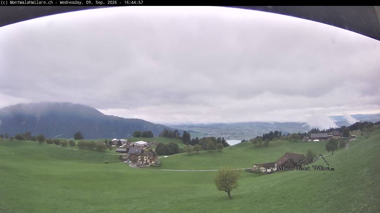 Walchwil › Westen: Halbinsel Chiemen - Zugersee