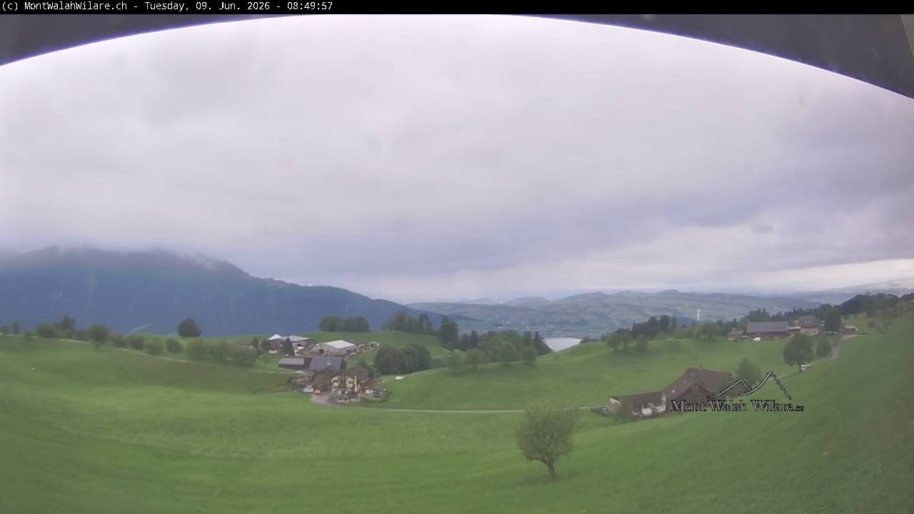 Walchwil › Westen: Halbinsel Chiemen - Zugersee