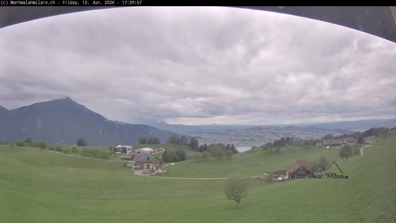 Walchwil › Westen: Halbinsel Chiemen - Zugersee