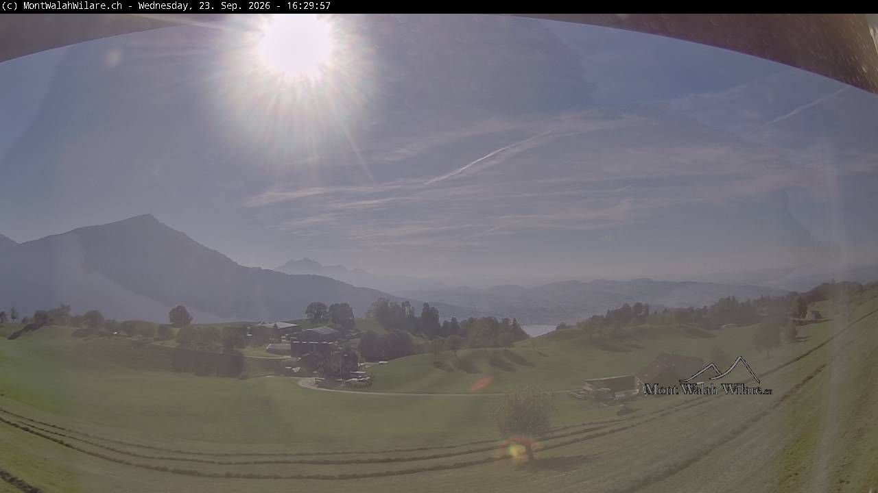 Walchwil › Westen: Halbinsel Chiemen - Zugersee