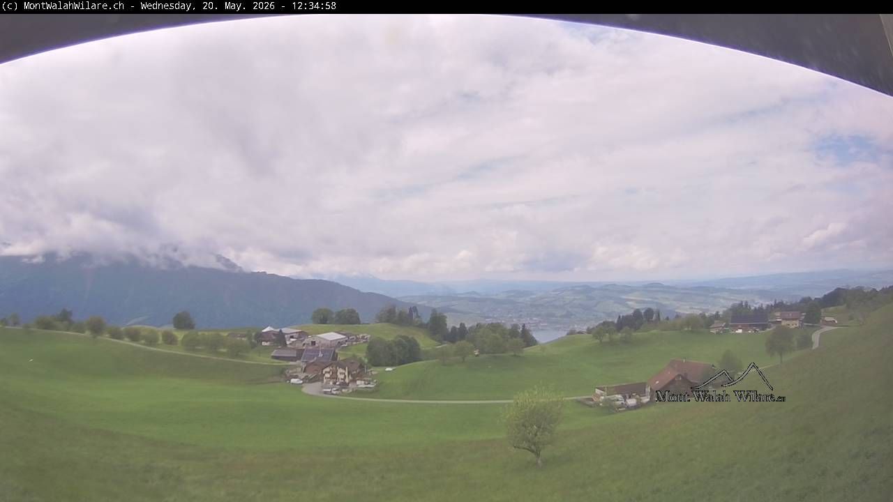 Walchwil › Westen: Halbinsel Chiemen - Zugersee