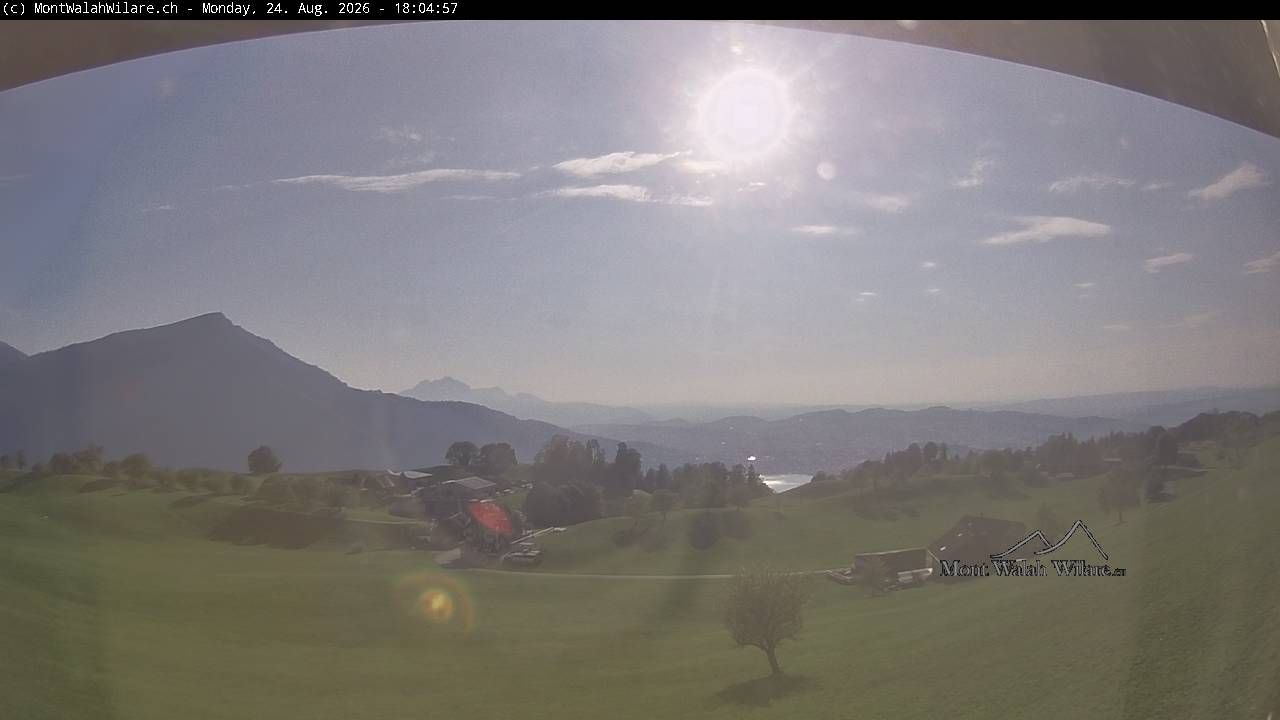 Walchwil › Westen: Halbinsel Chiemen - Zugersee