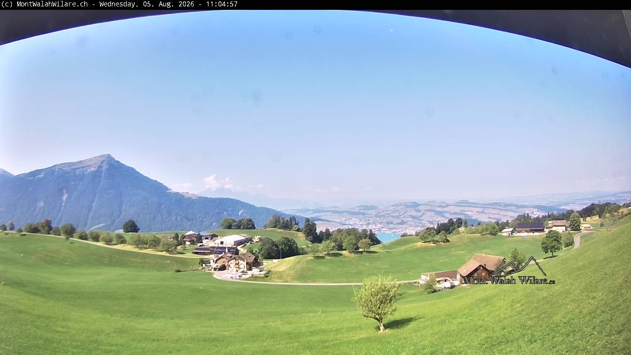 Walchwil › Westen: Halbinsel Chiemen - Zugersee
