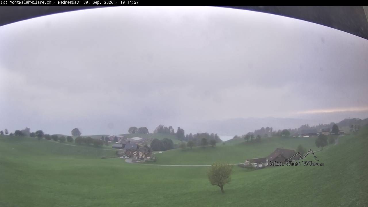 Walchwil › Westen: Halbinsel Chiemen - Zugersee