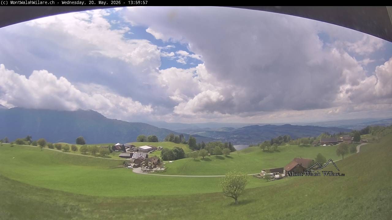 Walchwil › Westen: Halbinsel Chiemen - Zugersee