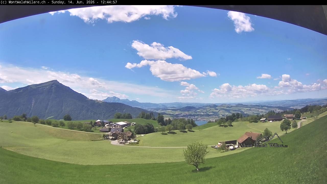 Walchwil › Westen: Halbinsel Chiemen - Zugersee