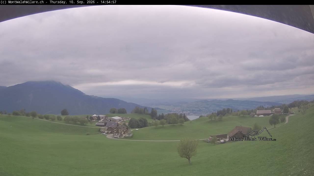 Walchwil › Westen: Halbinsel Chiemen - Zugersee