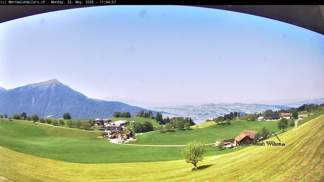 Walchwil › Westen: Halbinsel Chiemen - Zugersee