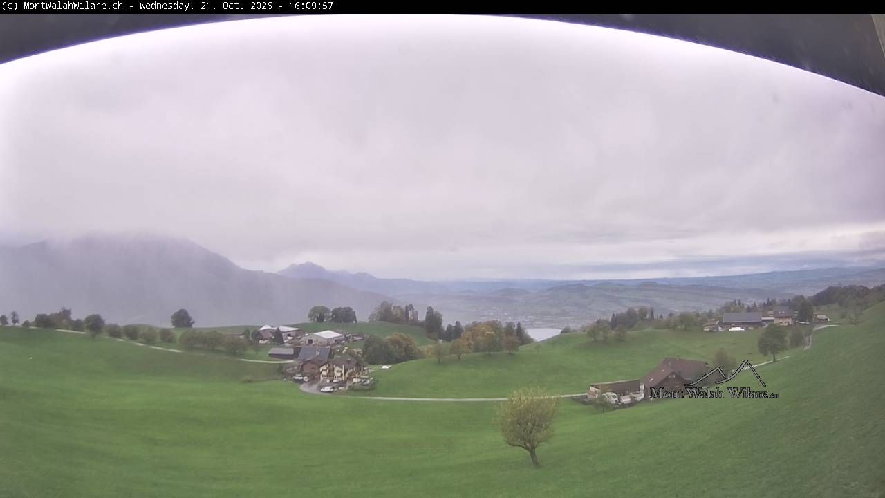 Walchwil › Westen: Halbinsel Chiemen - Zugersee