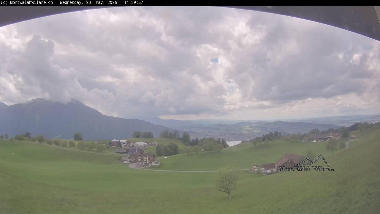 Walchwil › Westen: Halbinsel Chiemen - Zugersee