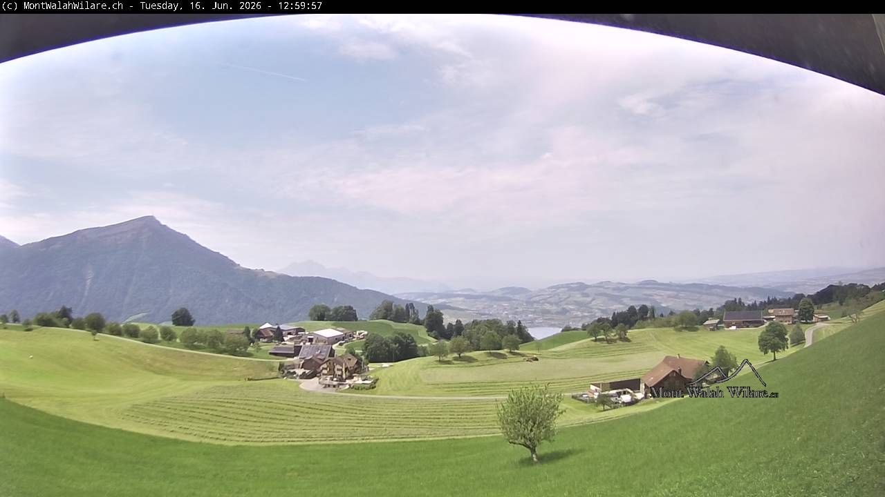 Walchwil › Westen: Halbinsel Chiemen - Zugersee