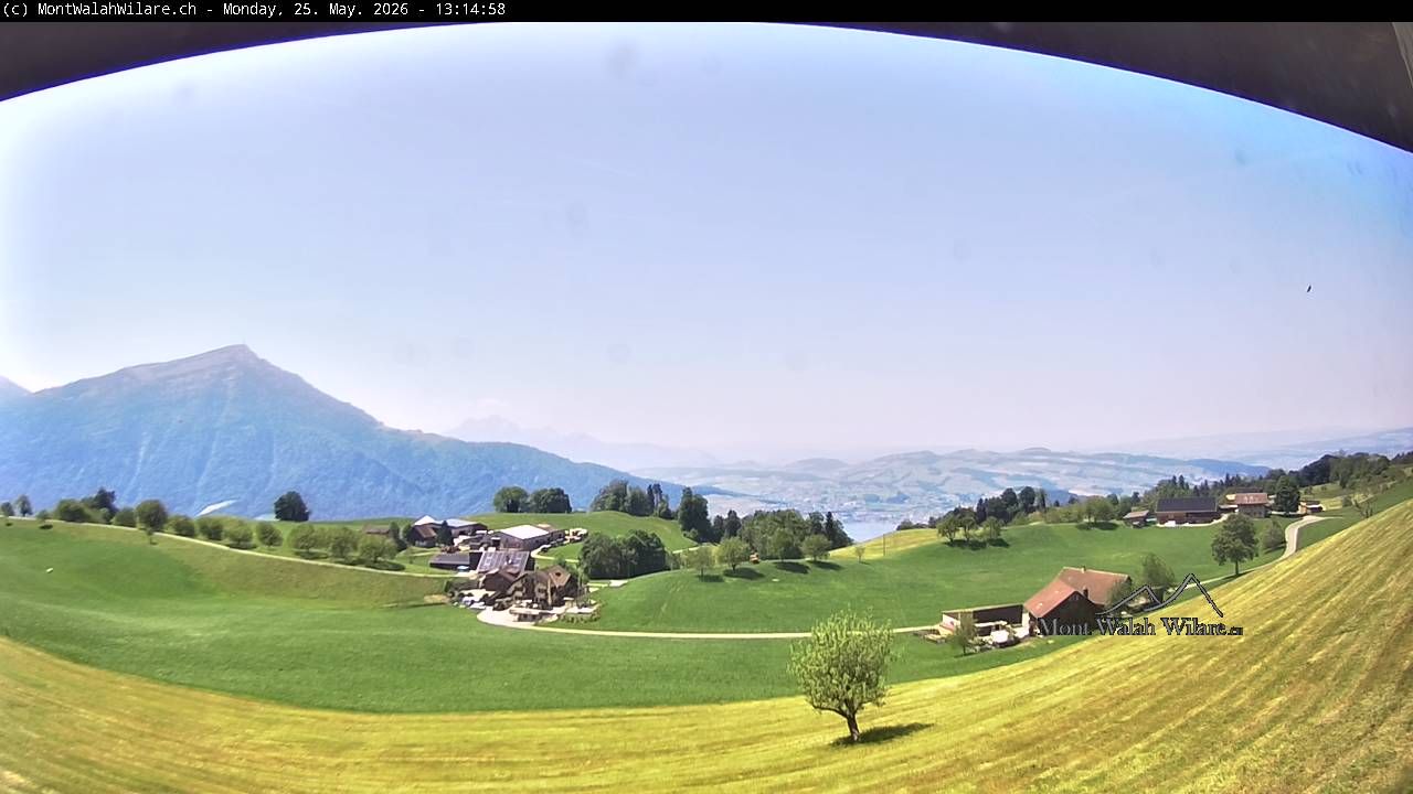 Walchwil › Westen: Halbinsel Chiemen - Zugersee