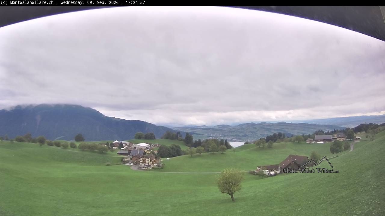 Walchwil › Westen: Halbinsel Chiemen - Zugersee