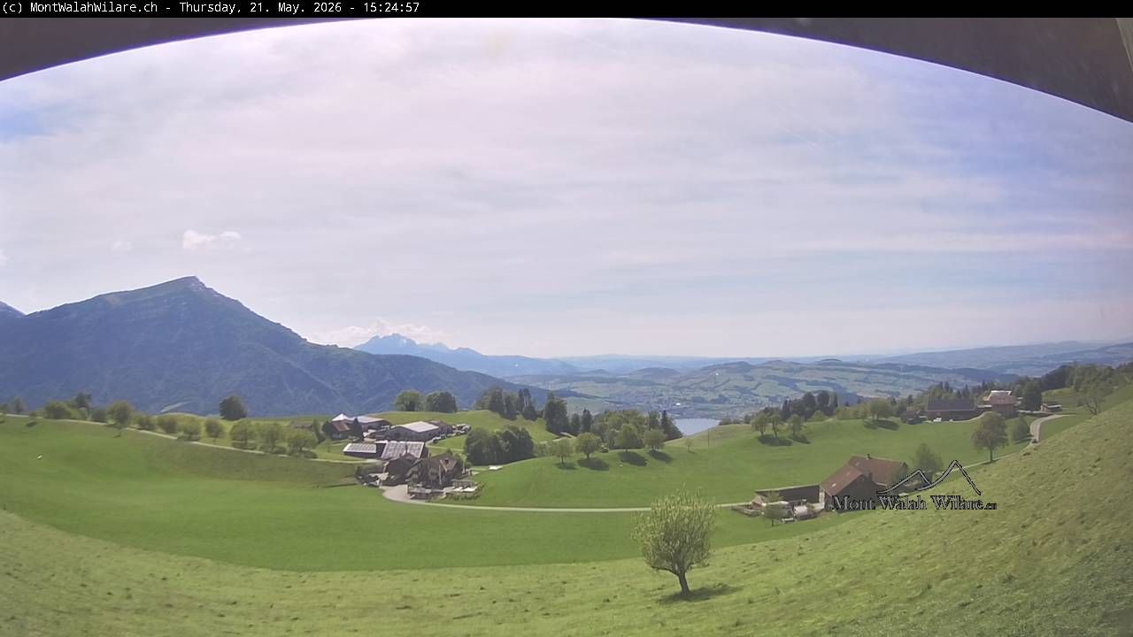 Walchwil › Westen: Halbinsel Chiemen - Zugersee