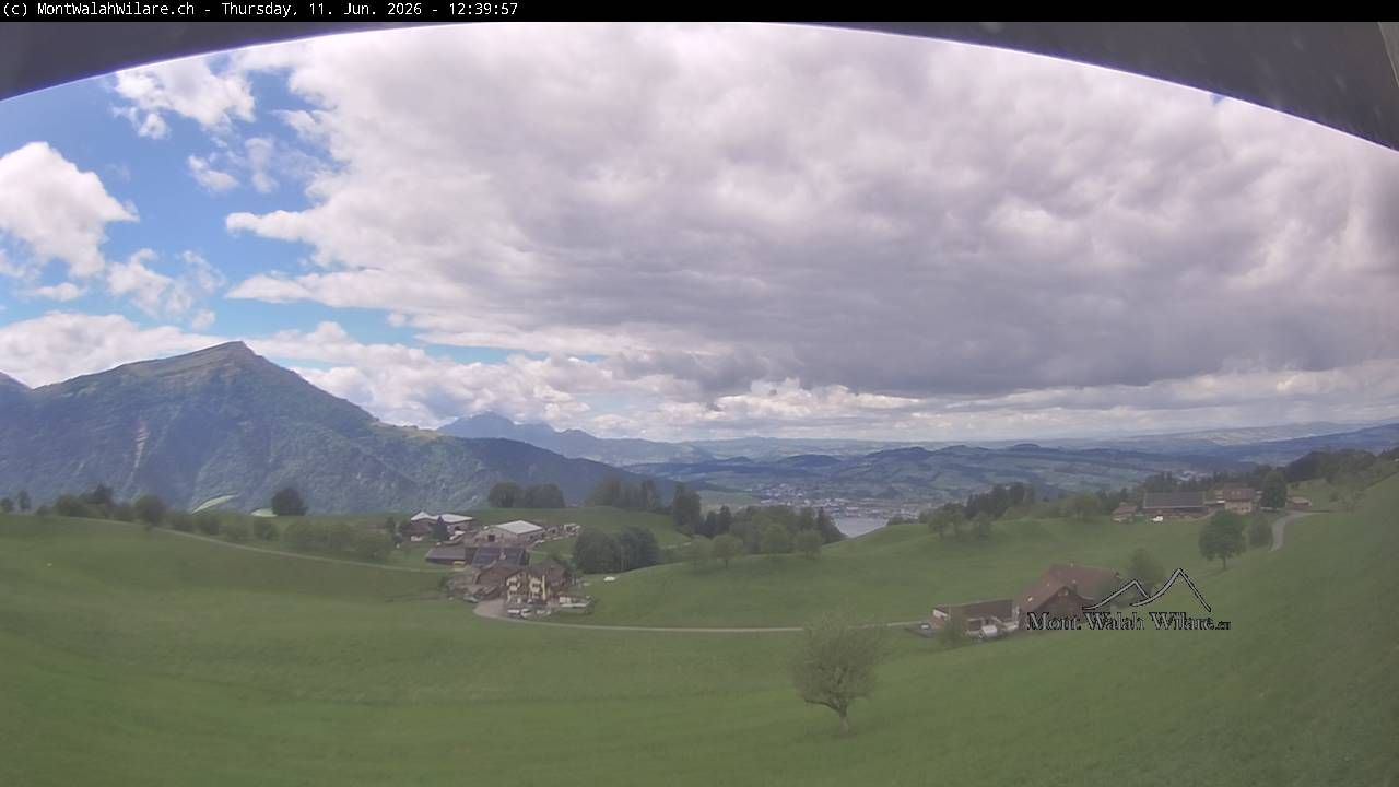 Walchwil › Westen: Halbinsel Chiemen - Zugersee