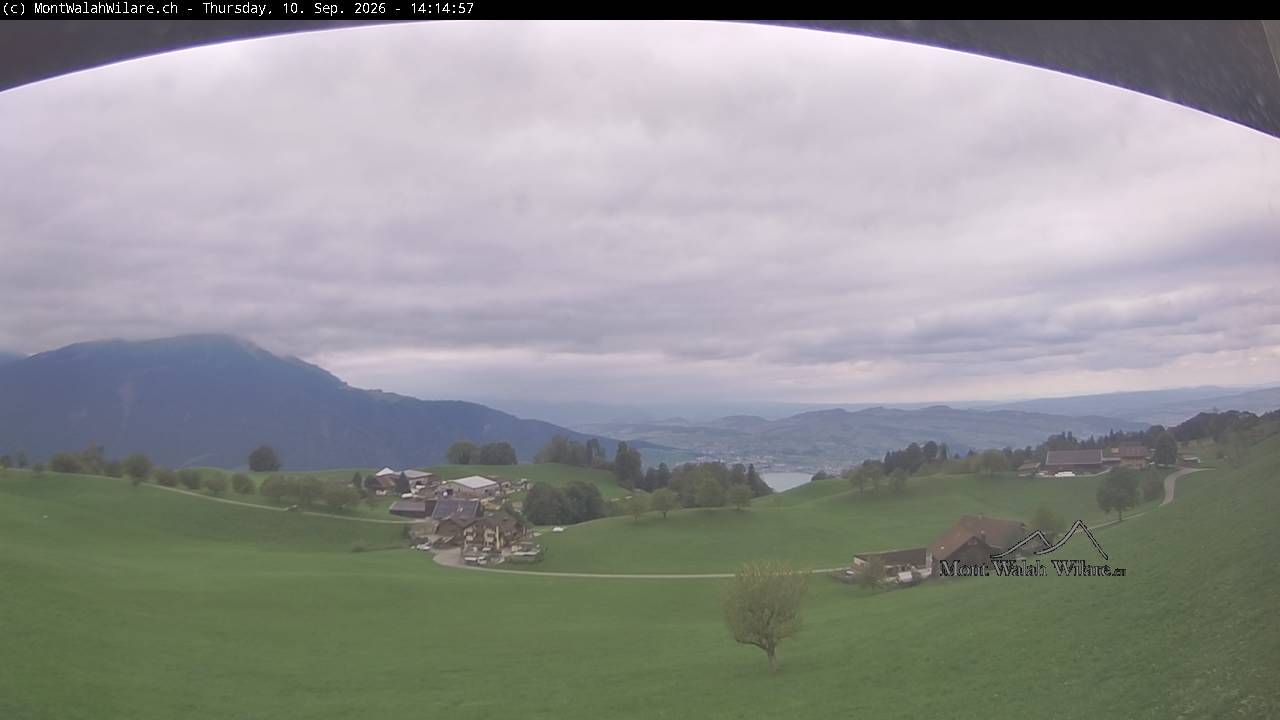Walchwil › Westen: Halbinsel Chiemen - Zugersee
