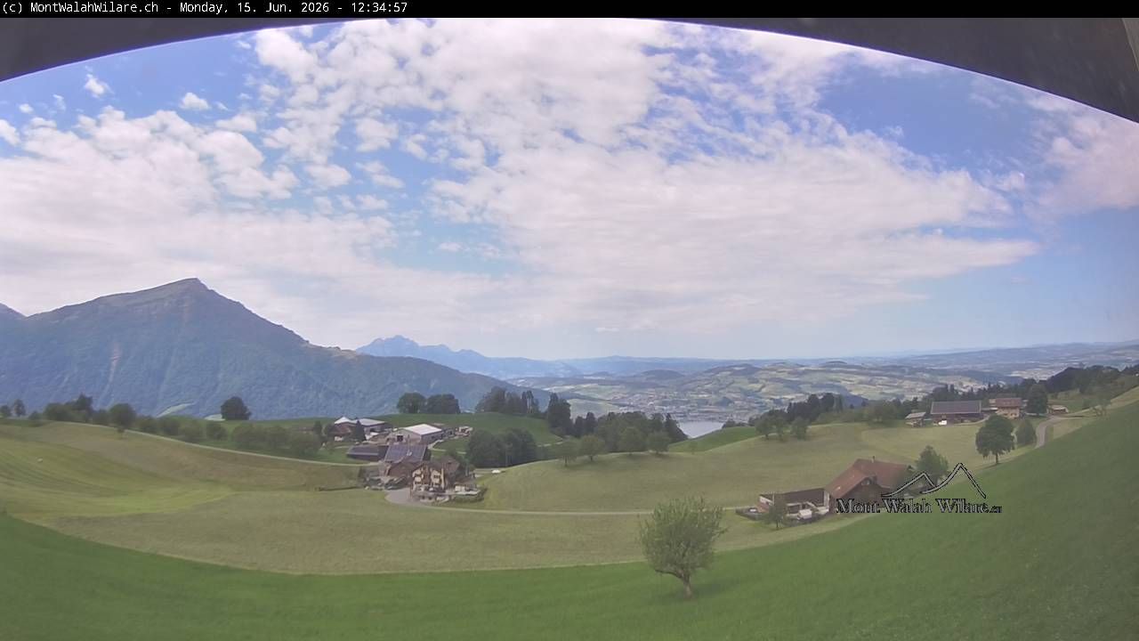 Walchwil › Westen: Halbinsel Chiemen - Zugersee