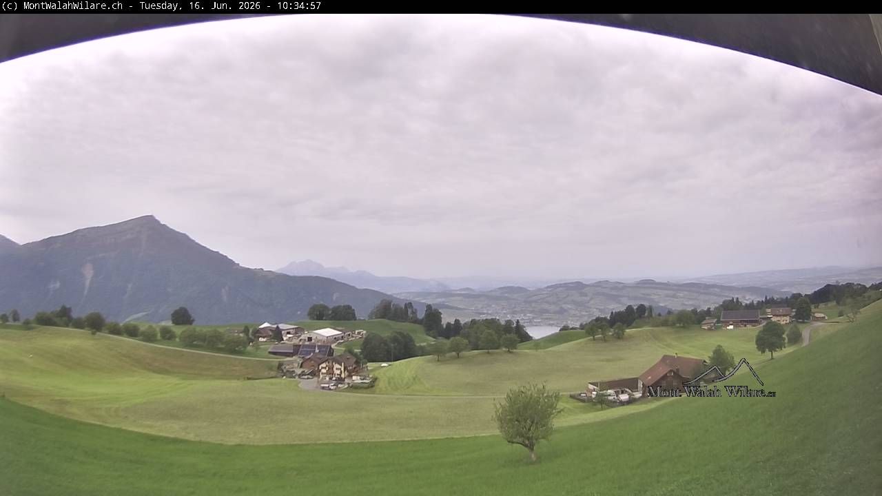 Walchwil › Westen: Halbinsel Chiemen - Zugersee