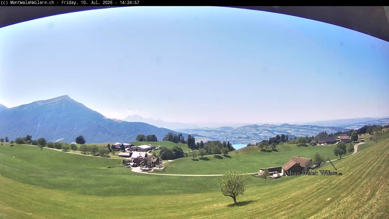 Walchwil › Westen: Halbinsel Chiemen - Zugersee