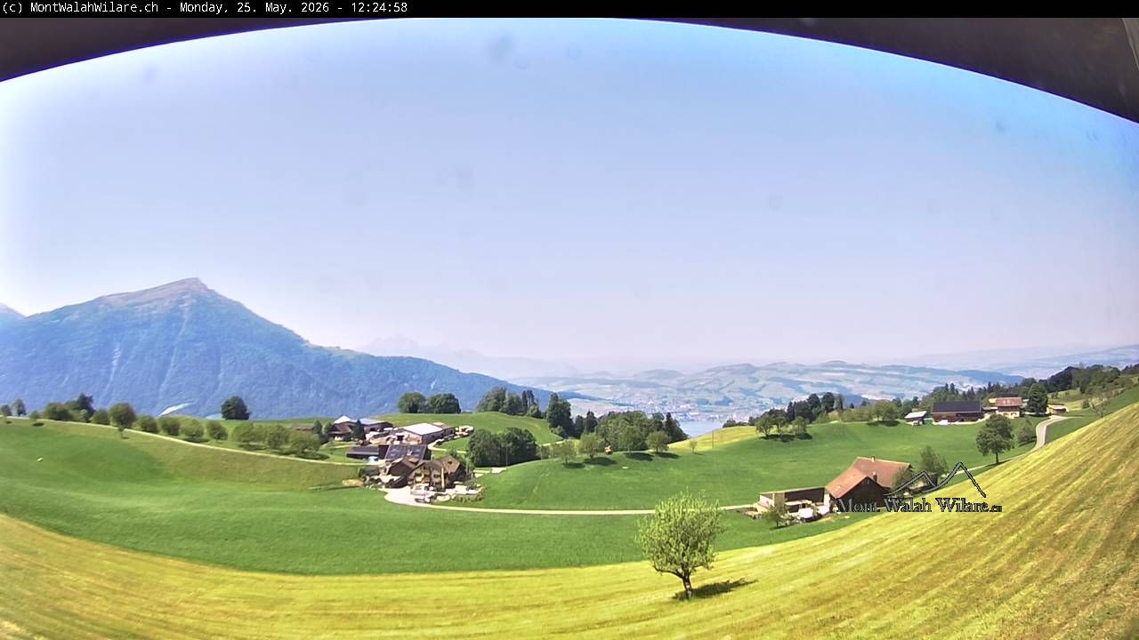 Walchwil › Westen: Halbinsel Chiemen - Zugersee