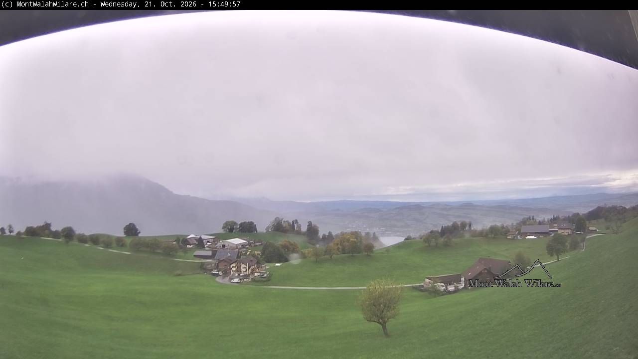 Walchwil › Westen: Halbinsel Chiemen - Zugersee
