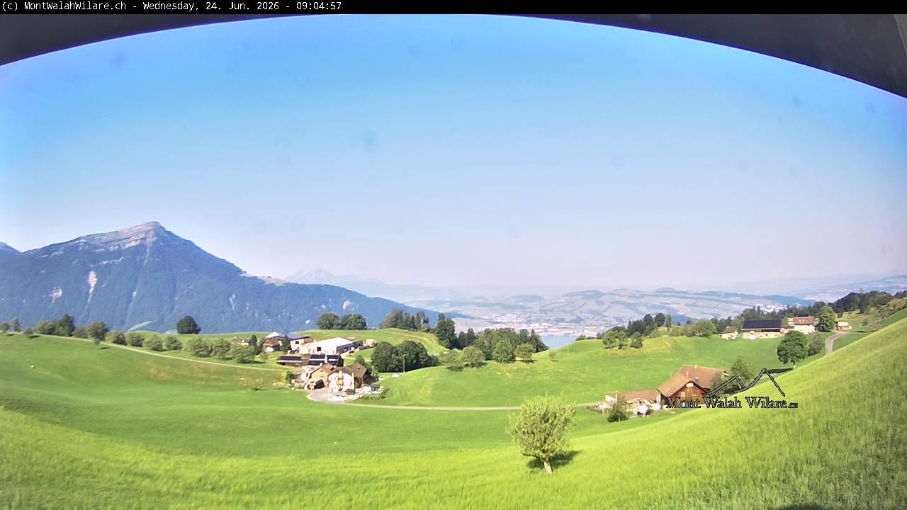 Walchwil › Westen: Halbinsel Chiemen - Zugersee