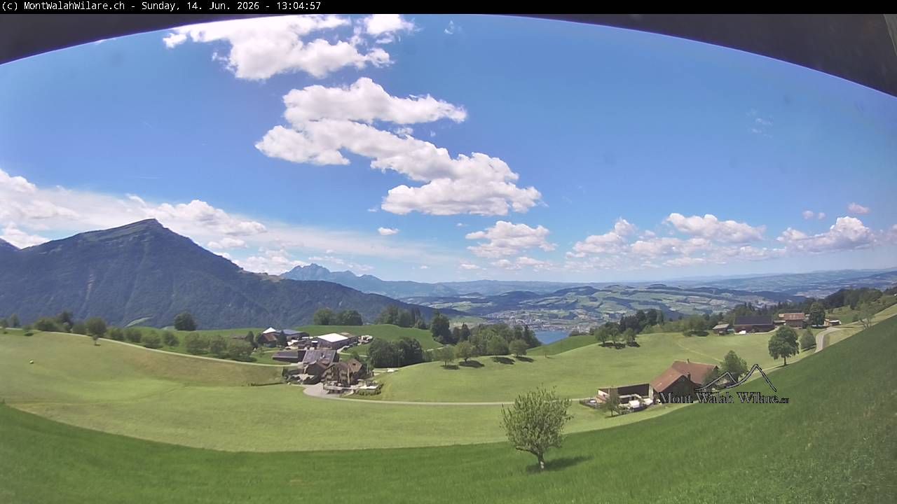 Walchwil › Westen: Halbinsel Chiemen - Zugersee