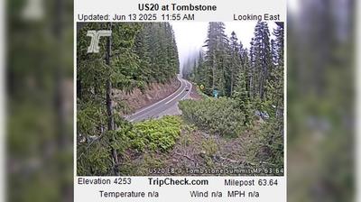 Tombstone Traffic Watch: Linn US20