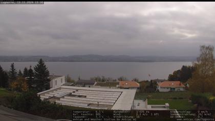 Lugnorre › Süd: Lake Murten