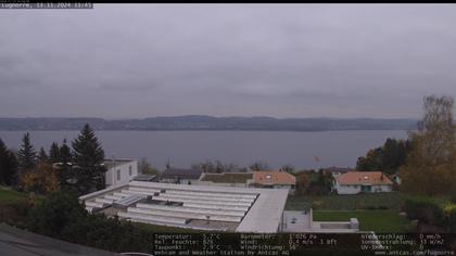 Lugnorre › Süd: Lake Murten