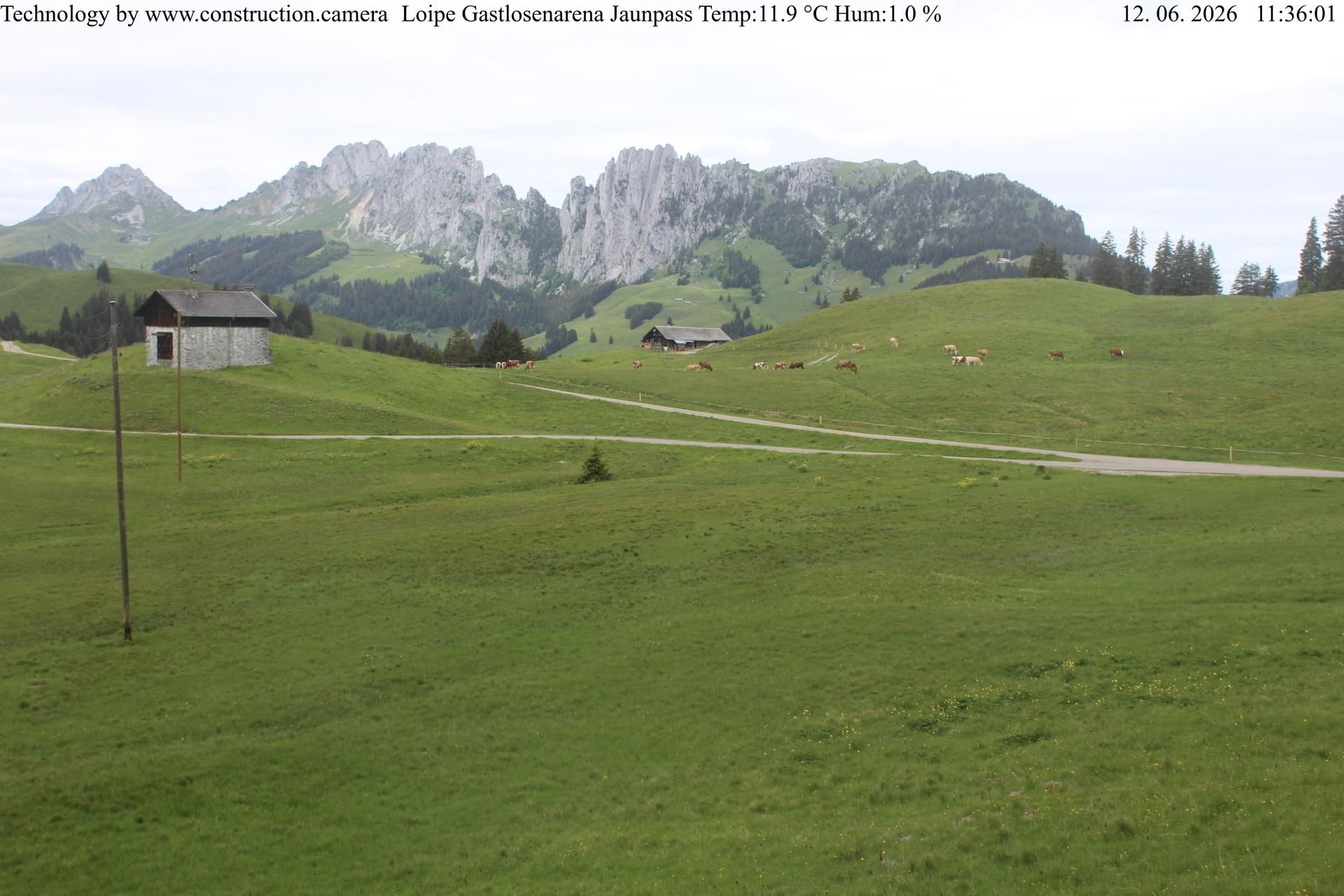 Boltigen: Gastlosenarena: Langlaufen Jaunpass