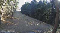 Novy Rychnov
