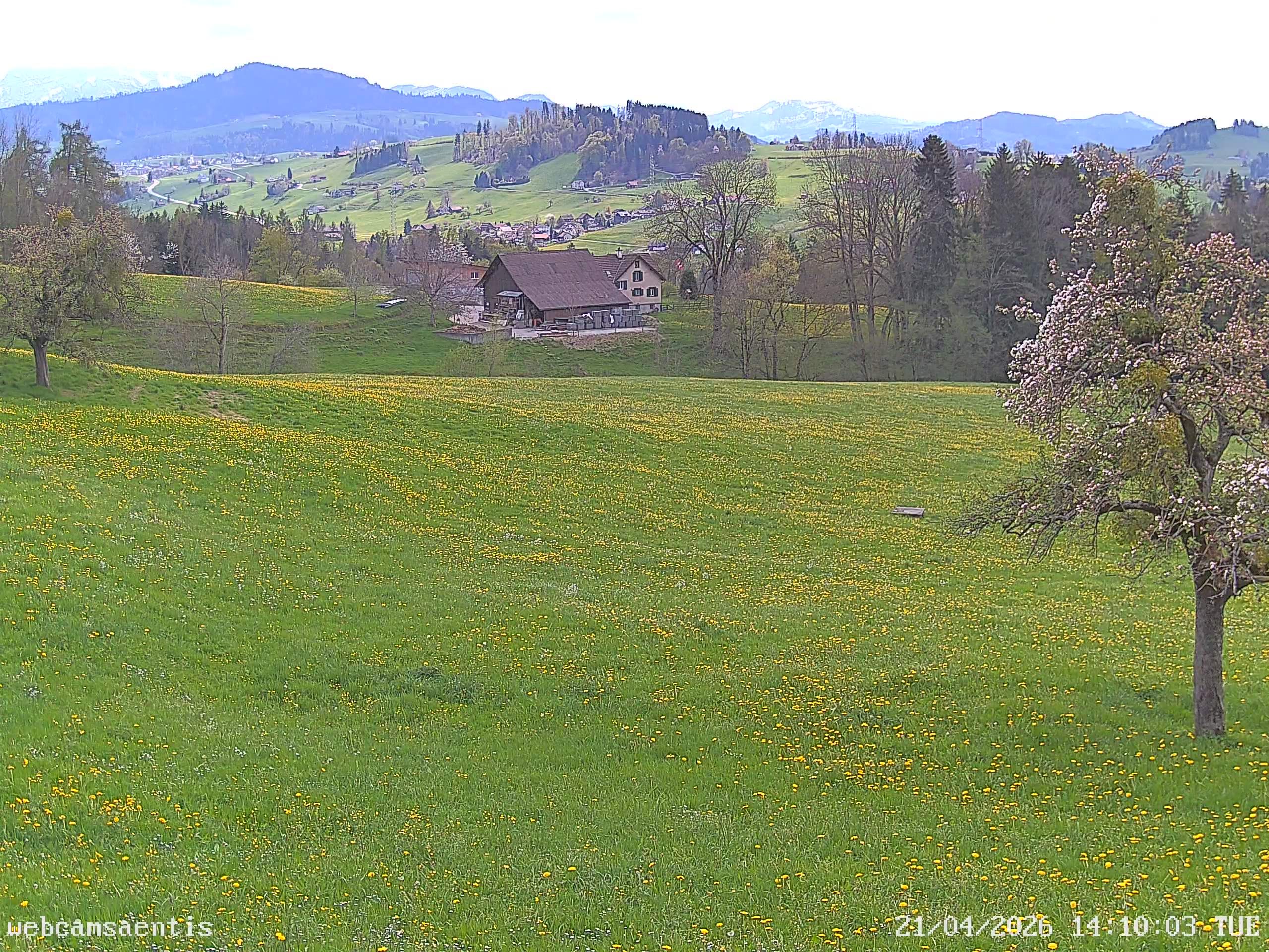 Sankt Gallen: Säntis