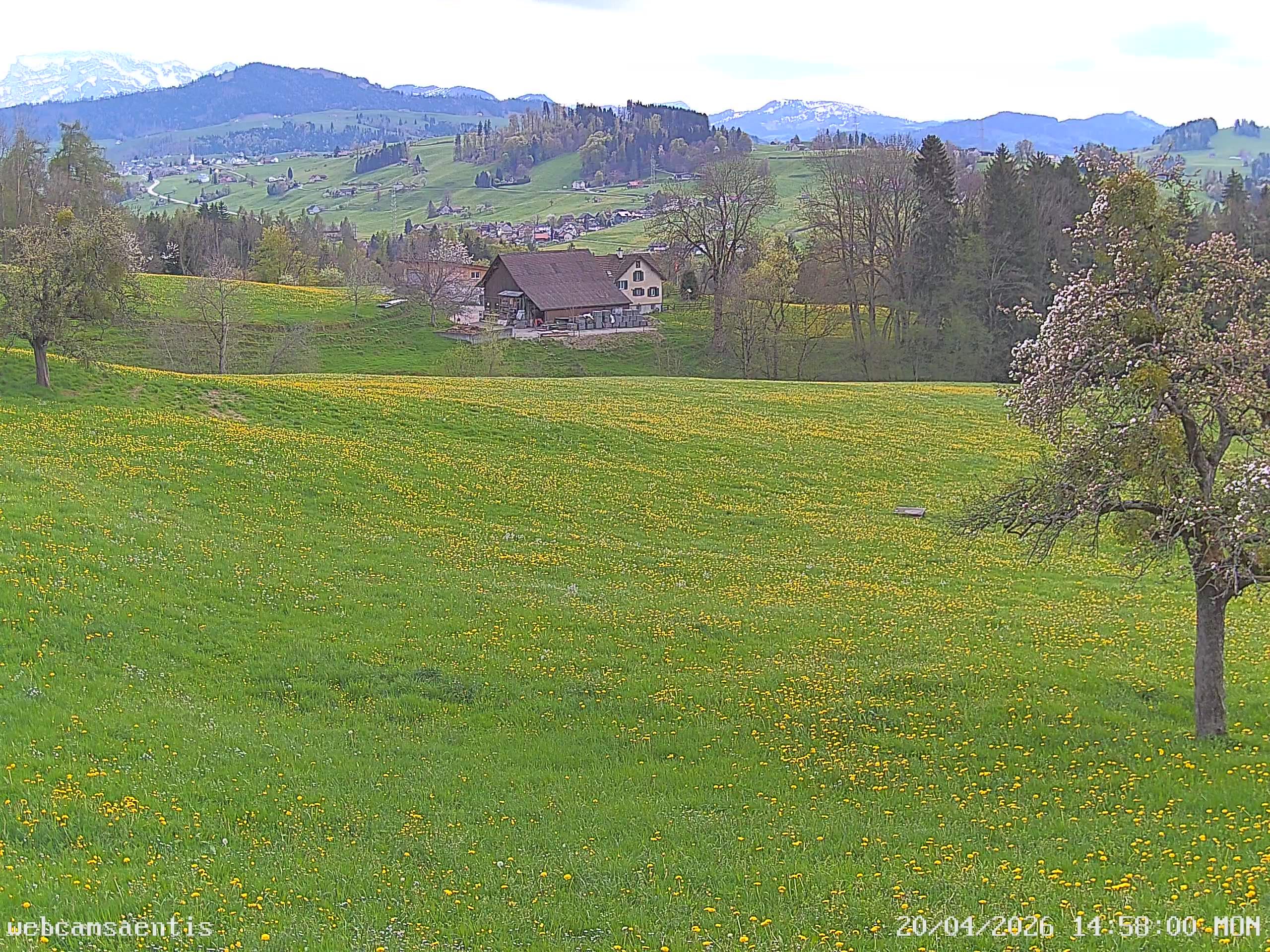 Sankt Gallen: Säntis