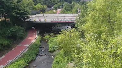 Suwon today