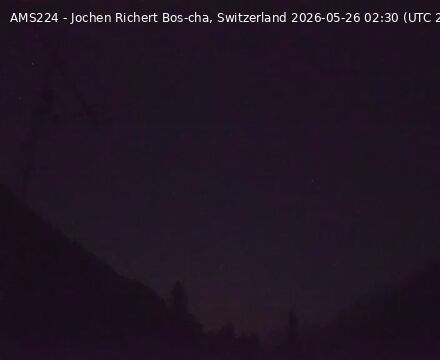 Scuol › Nordosten: Bos-cha