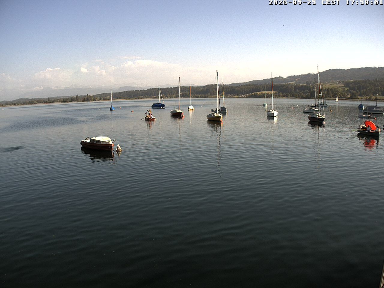 Uster › Süden: Greifensee