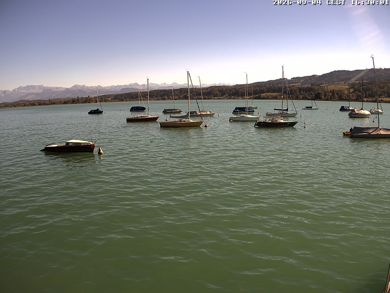 Uster › Süden: Greifensee