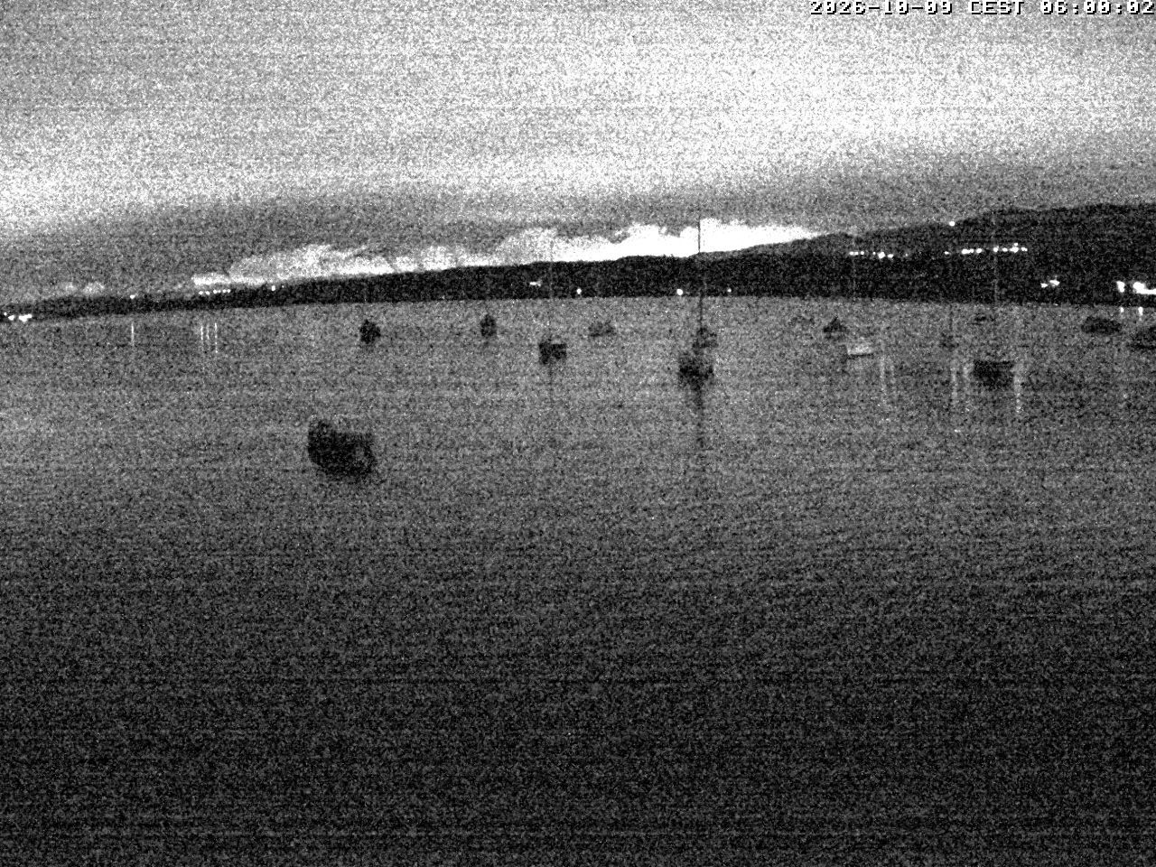 Uster › Süden: Greifensee