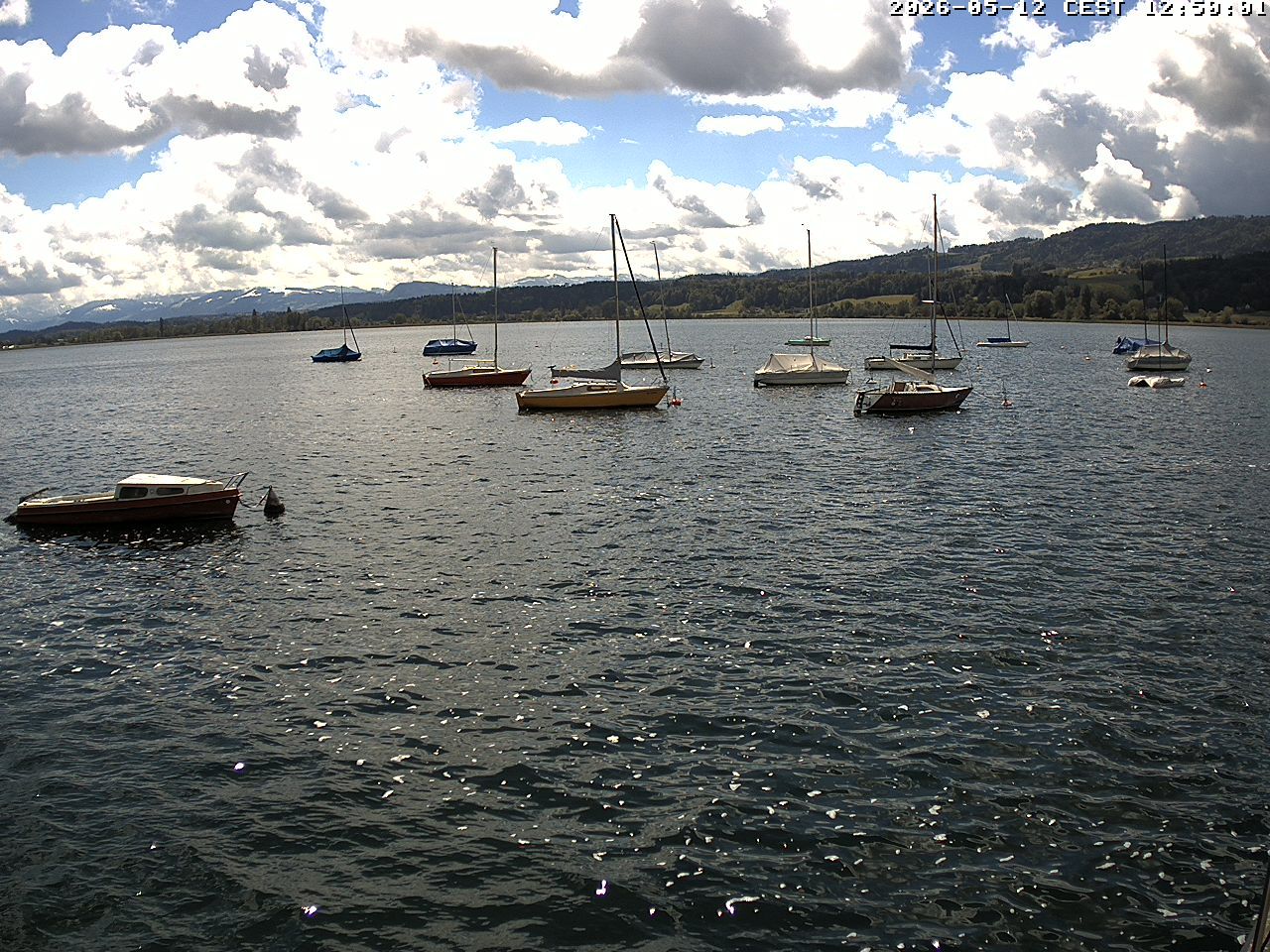 Uster › Süden: Greifensee