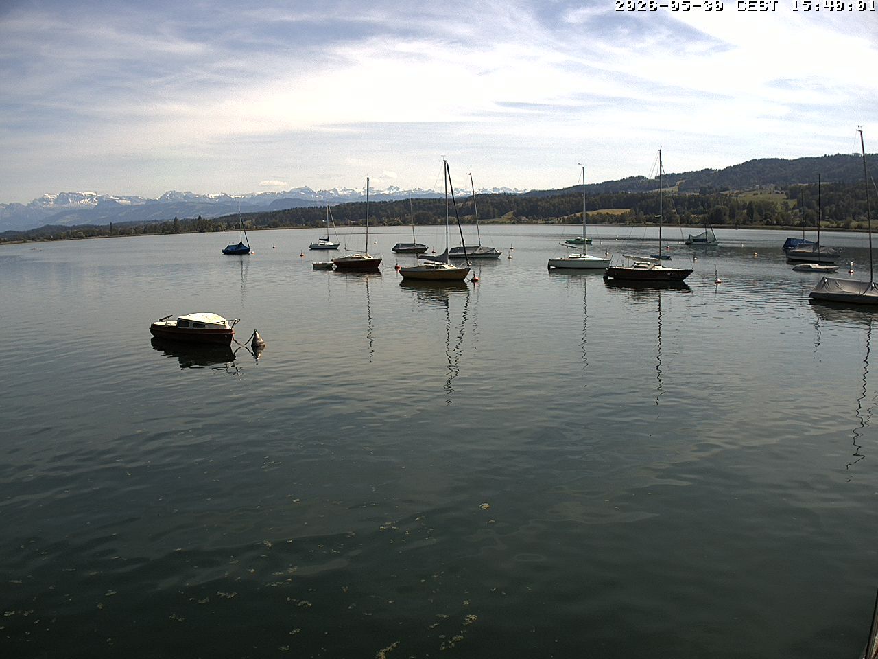 Uster › Süden: Greifensee