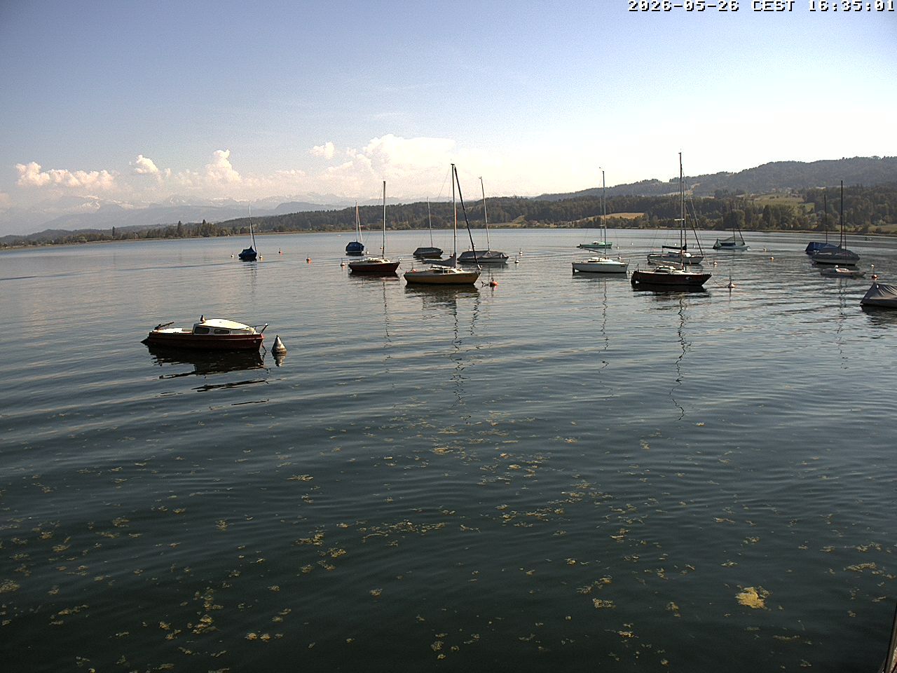Uster › Süden: Greifensee