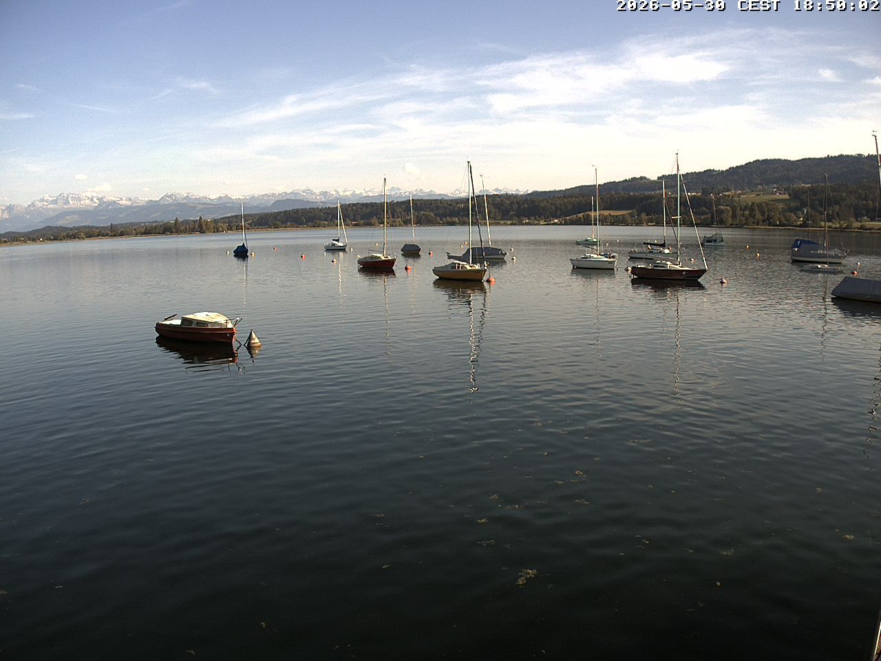 Uster › Süden: Greifensee