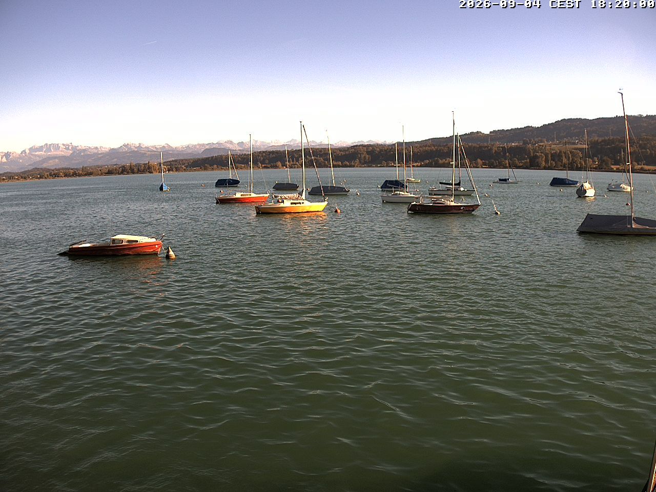 Uster › Süden: Greifensee