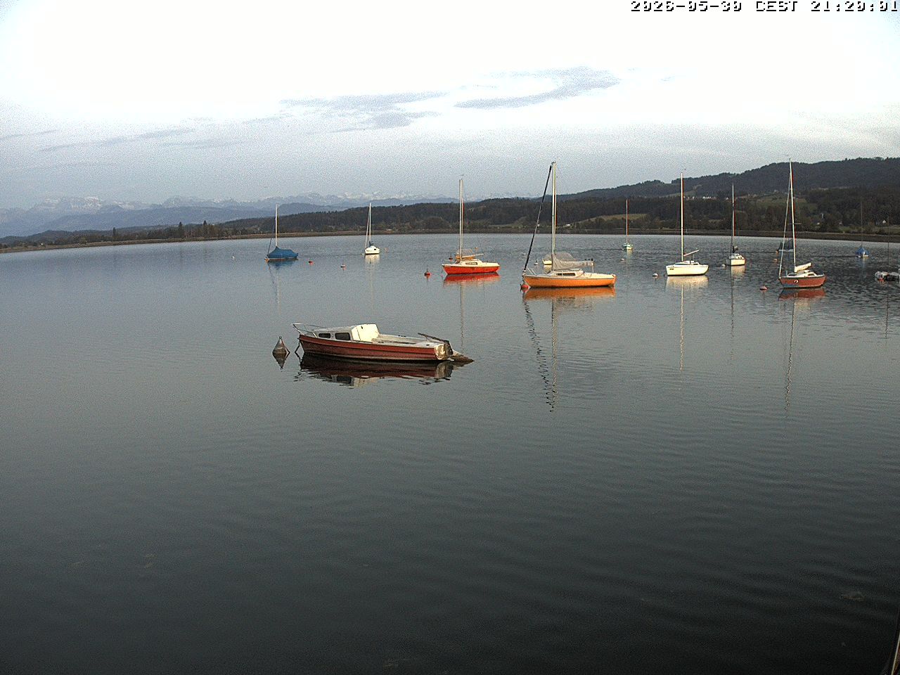 Uster › Süden: Greifensee