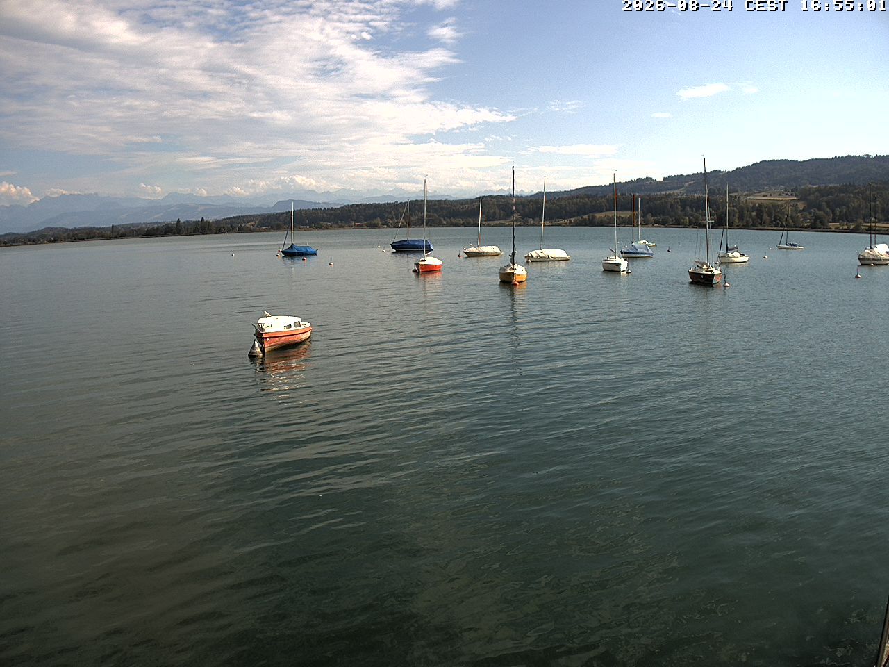 Uster › Süden: Greifensee