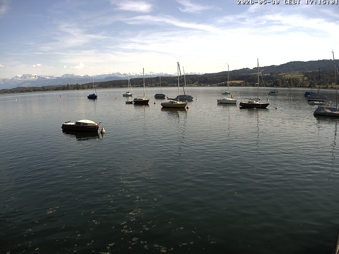 Uster › Süden: Greifensee