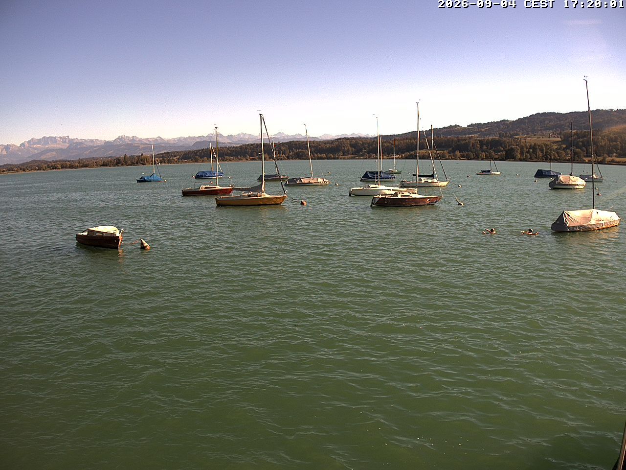 Uster › Süden: Greifensee