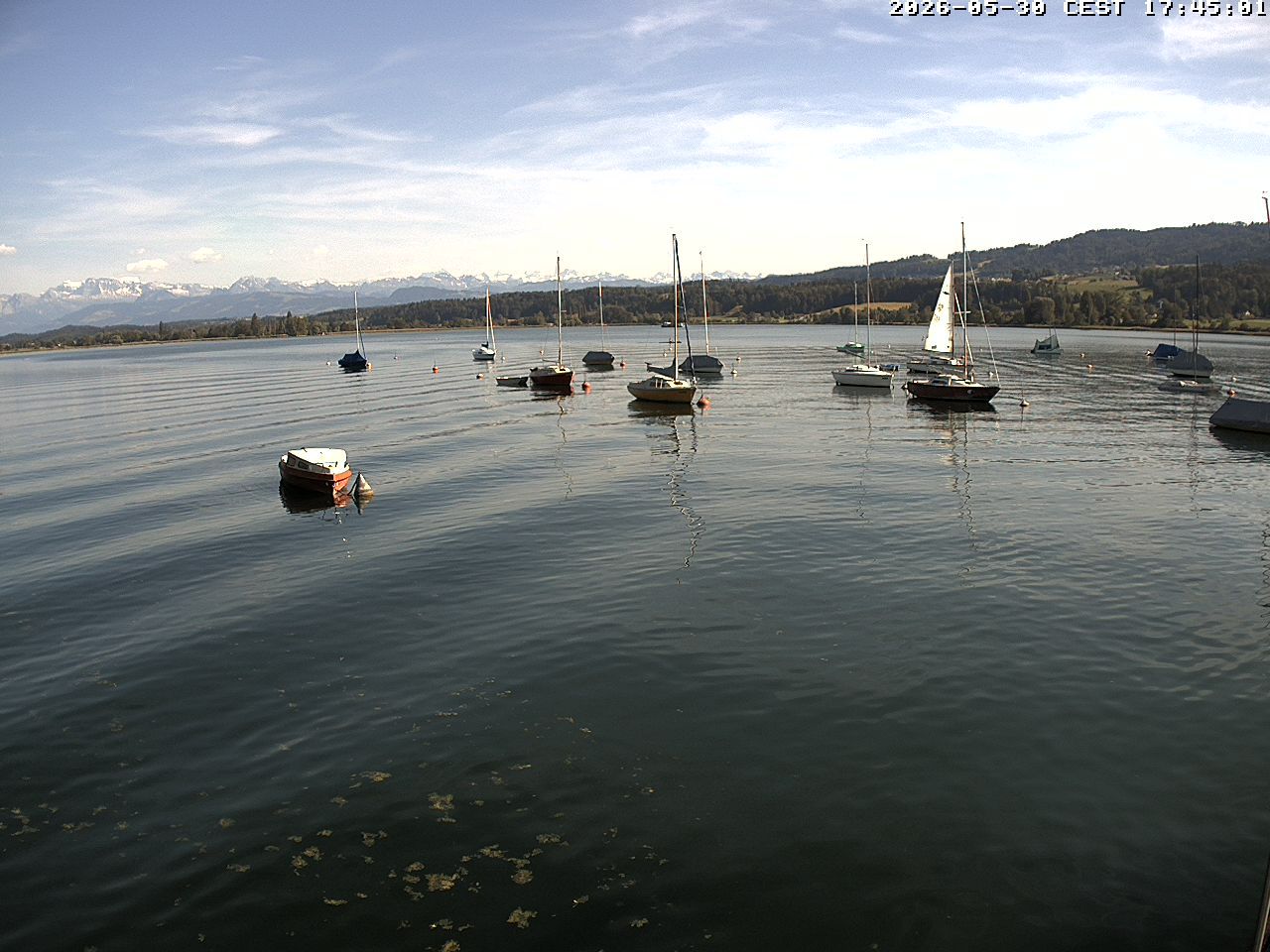 Uster › Süden: Greifensee