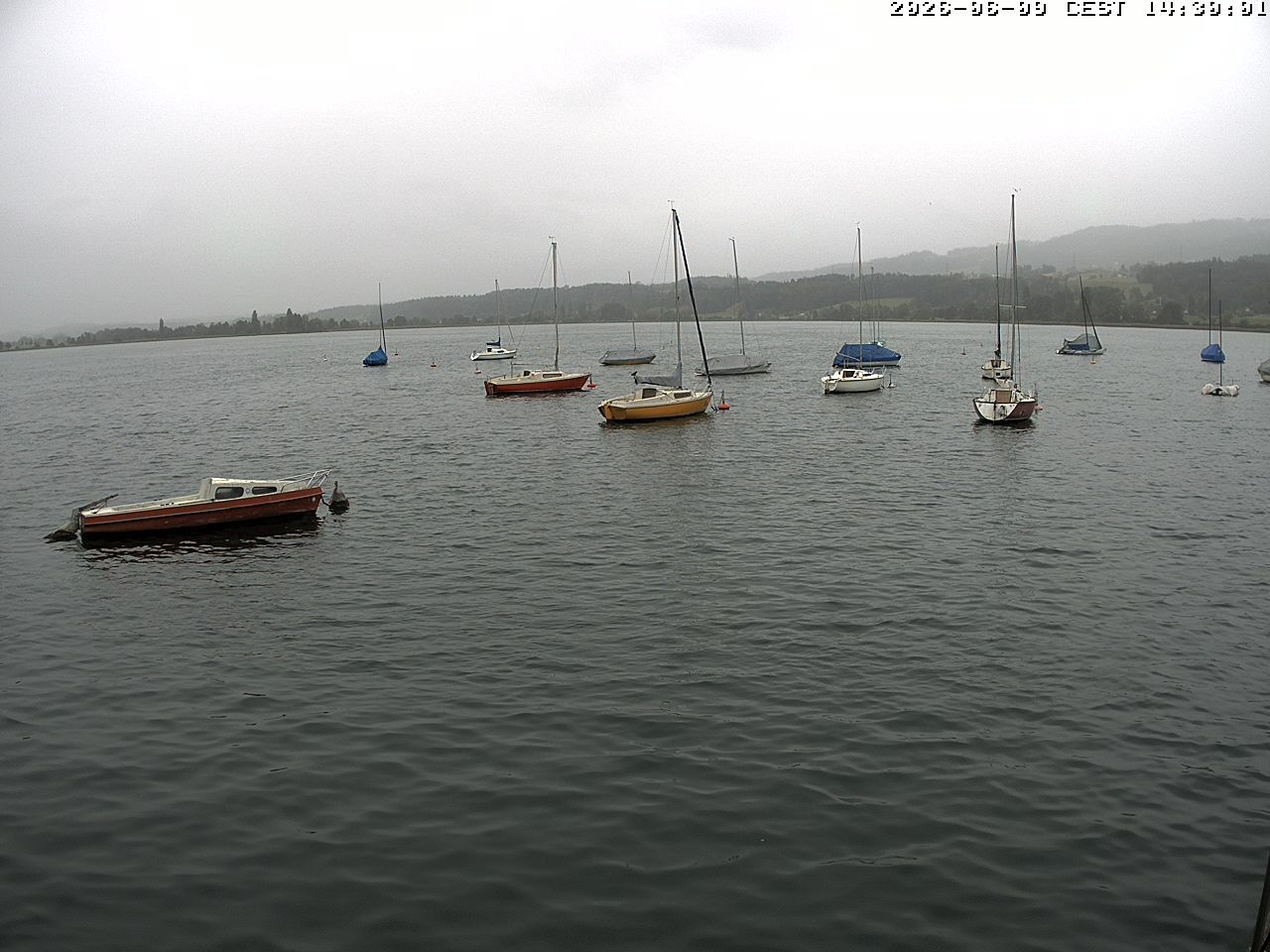 Uster › Süden: Greifensee
